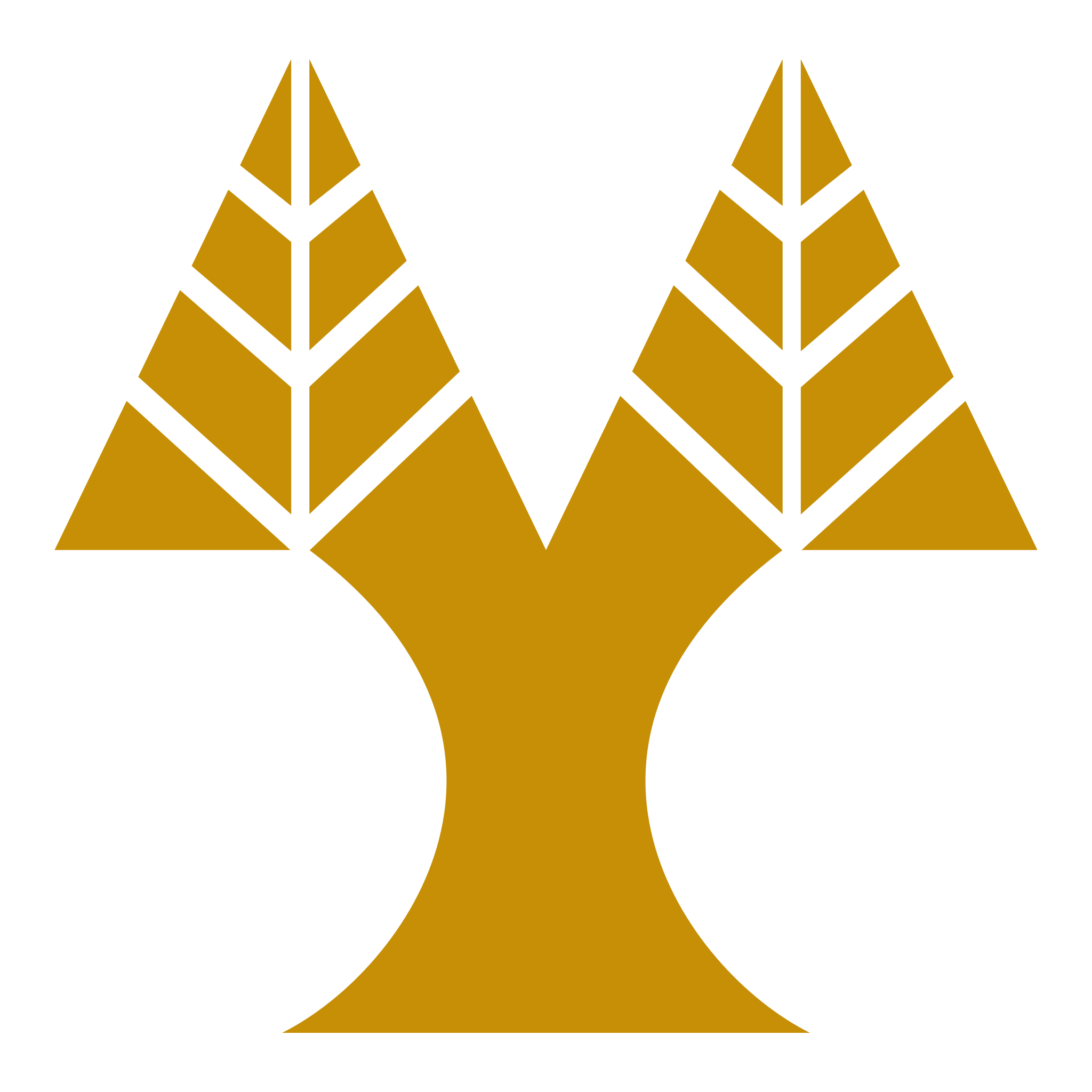 Australian National University